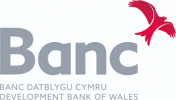 Development Bank of Wales: Investments against COVID-19